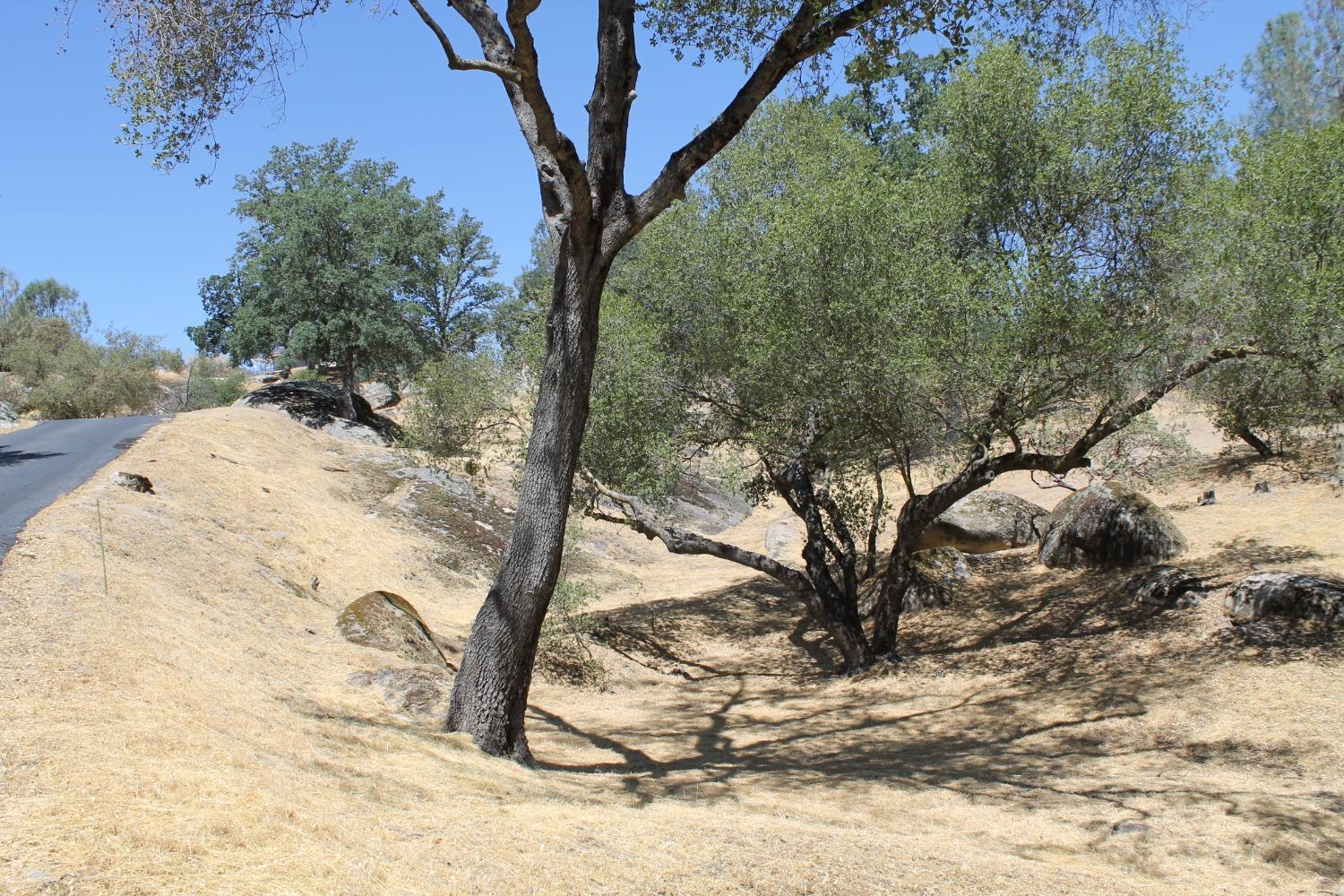 0 0 Deep Forest Dr, Coarsegold, CA 93614